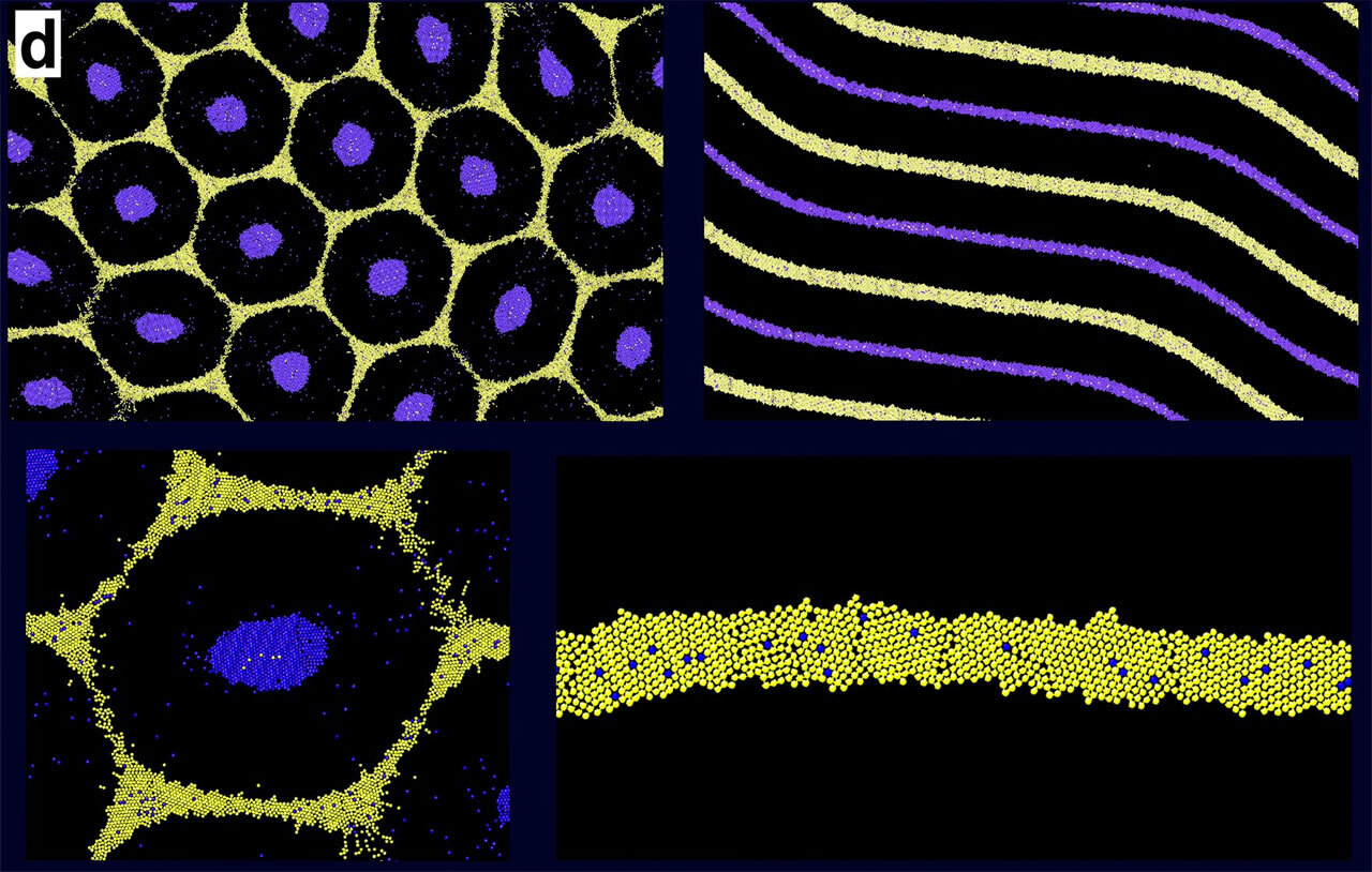Паттерны Тьюринга
