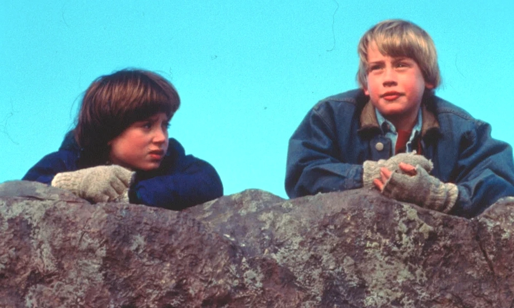 «Добрый сынок»