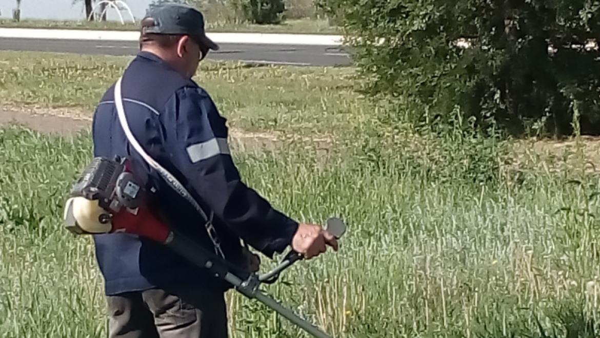 В Северном округе Оренбурга начат покос травы