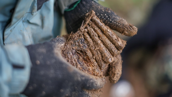 В Японии раскрыта тайна 150-летней археологической находки