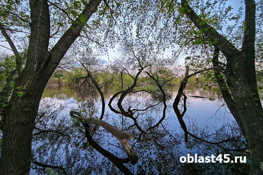 Почти во всех реках Курганской области вода идёт на спад