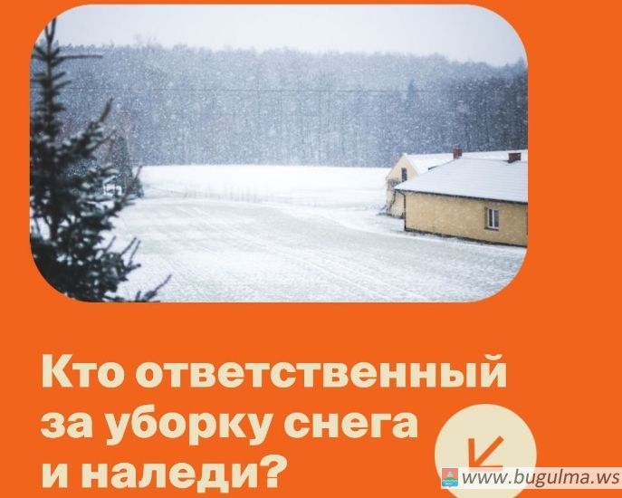 Кто должен убирать снег❓️