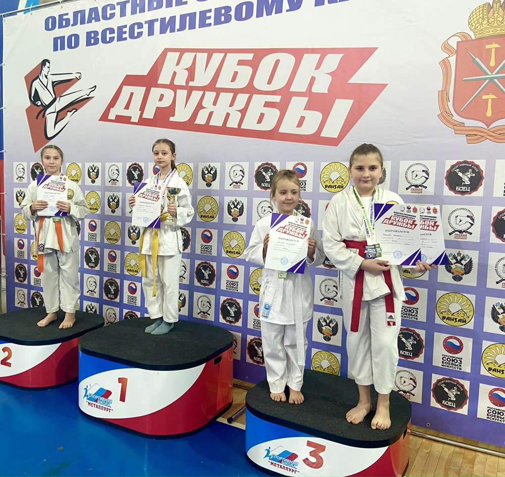 Всестилевое каратэ Мордовия
