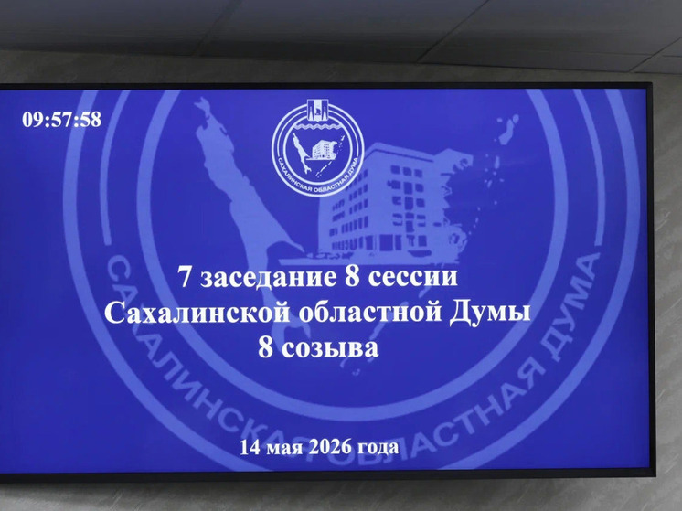 Депутаты Сахалинской областной Думы утвердили исполнение социально ориентированного бюджета за 2025 год