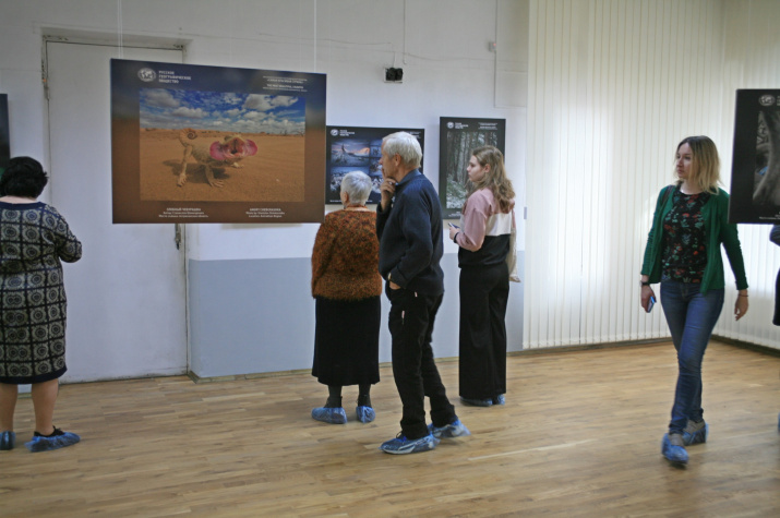 Фоторепортаж об открытии фотовыставки "Самая красивая страна" и проведении географического диктанта в Брянске