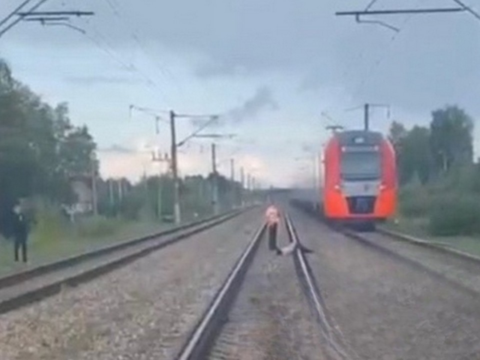 Поезд насмерть сбил человека. Электричка сбила человека. Поезд ласточка сбил человека. Сбило ласточка. Станция купавна.