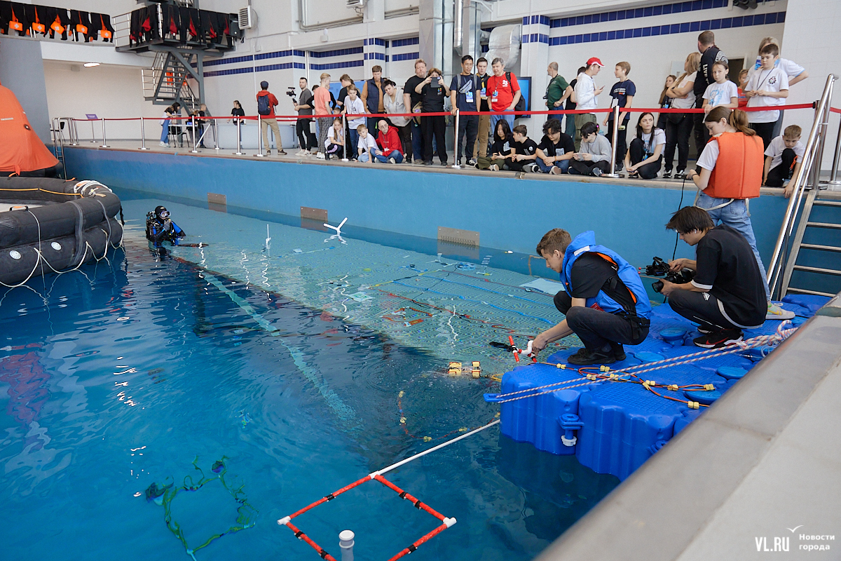 Бассейн мгу севастополь. Бассейн для школьников. Бассейн дас мгу. Бассейн кчф севастополь. Бассейн схи воронеж.