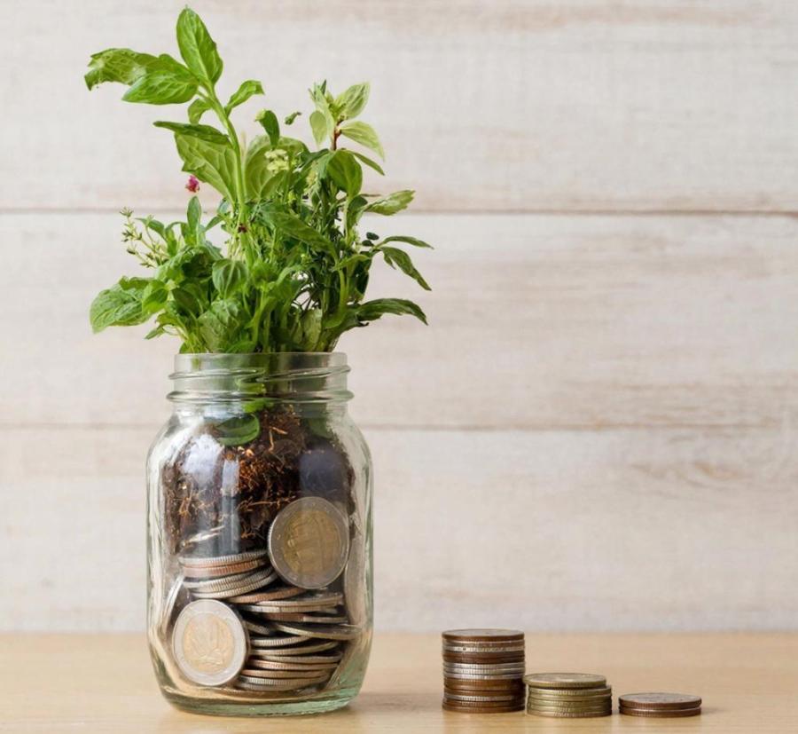 фото: Kandinsky | Высокая доходность на год: вот куда нужно нести свои деньги