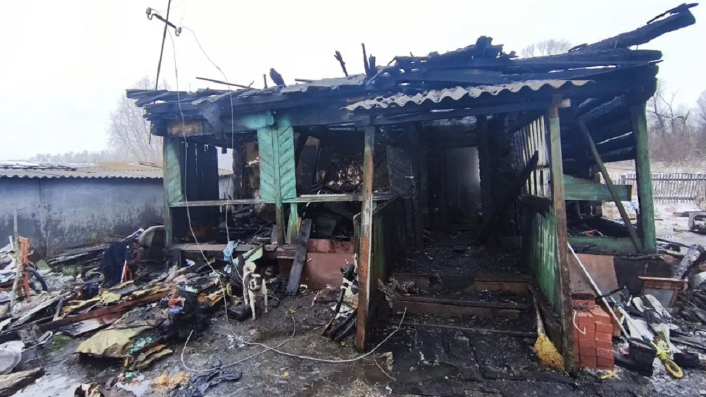 Фото: СУ СК РФ по Алтайскому краю