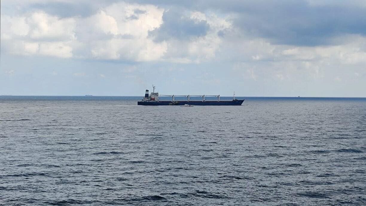 Отказ в разгрузке российского сухогруза вредит самому Израилю, заявил МИД