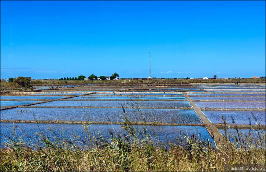 Европейский Девичник. Куда податься из Порту