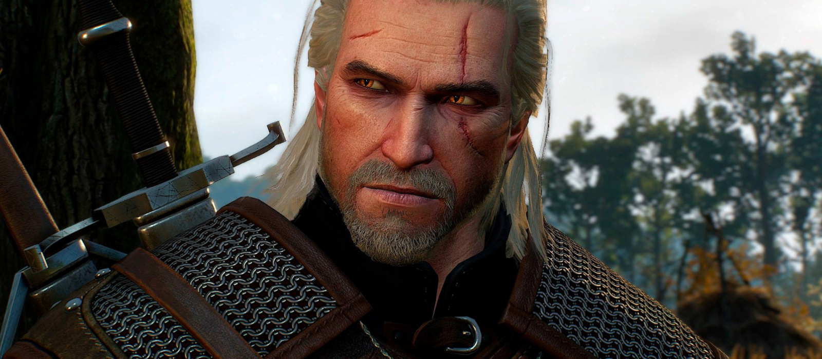 The witcher 3 hd reworked project фото 99