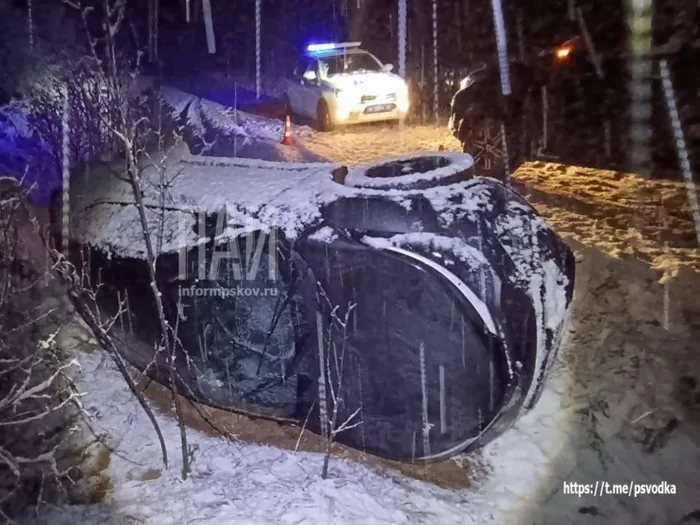 Автомобиль вылетел в кювет (ФОТО)