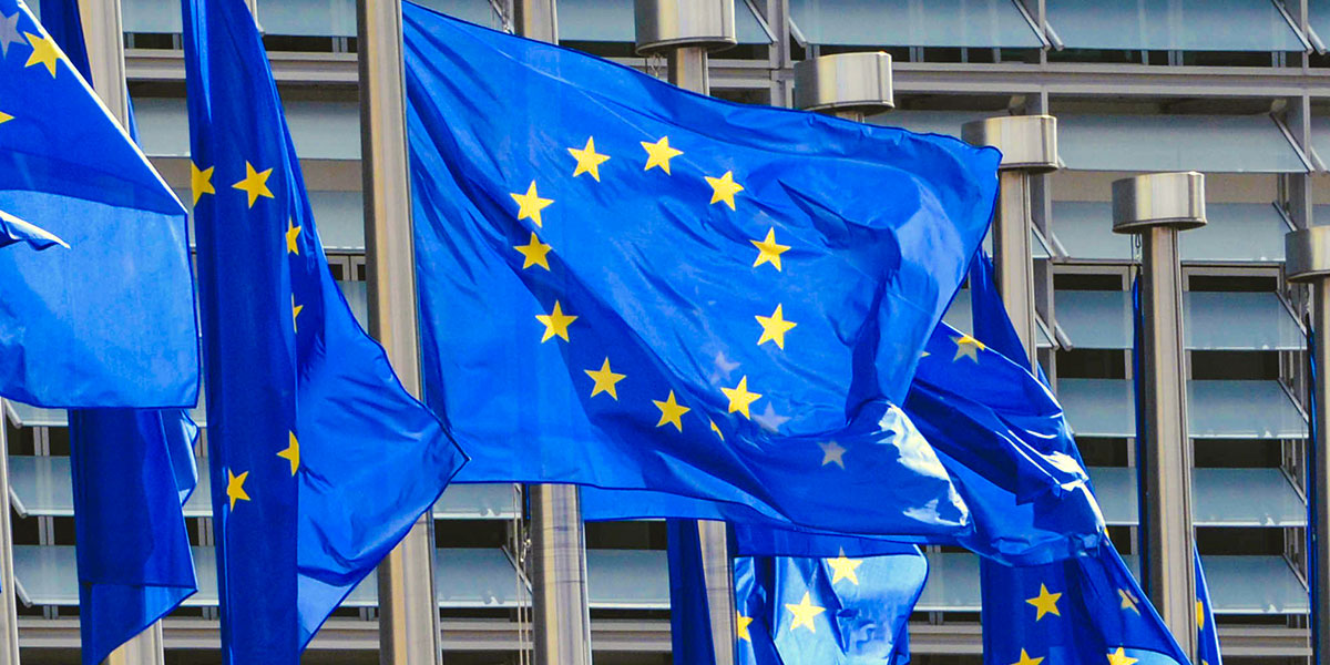 Европейское экономическое общество. Директивы европейского Союза. Хартия европейского Союза. ЕС 1993. Директивы ЕС (2011/8/ЕС).