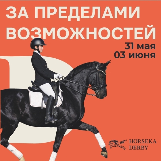 Лошади конкур. Дерби игровой спорт. Конное дерби хорсека. Хорсека дерби 2024. Хорсека дерби 2024.