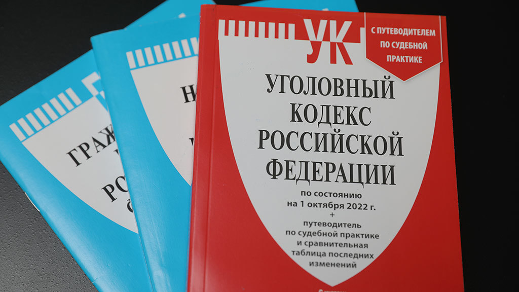 Проект нового уголовного кодекса россии