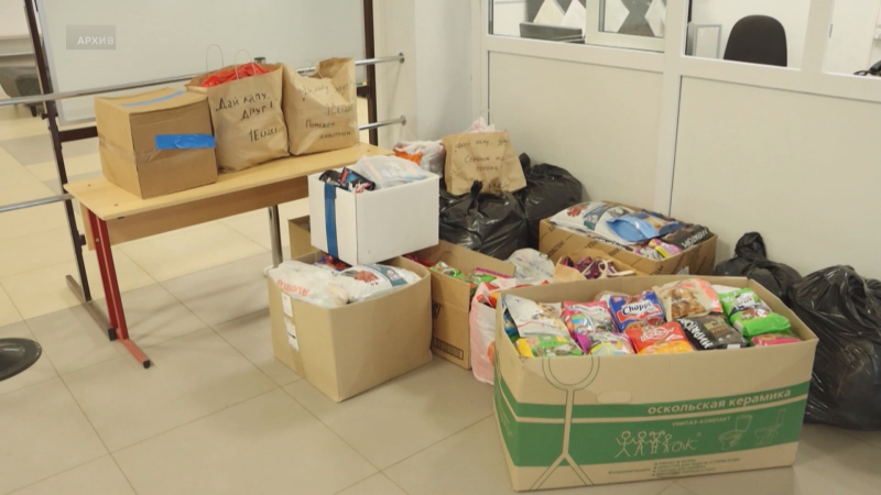 Школьники из Антроповского района собрали помощь для приюта бездомных животных