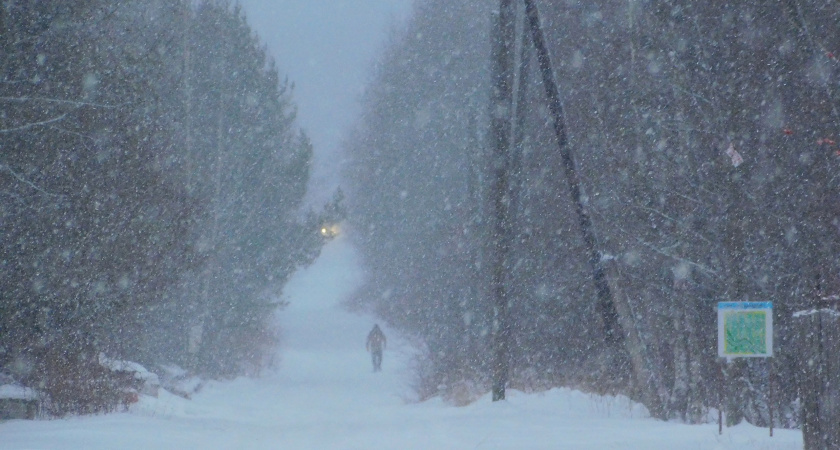 В Коми 16 января выпадет снег 