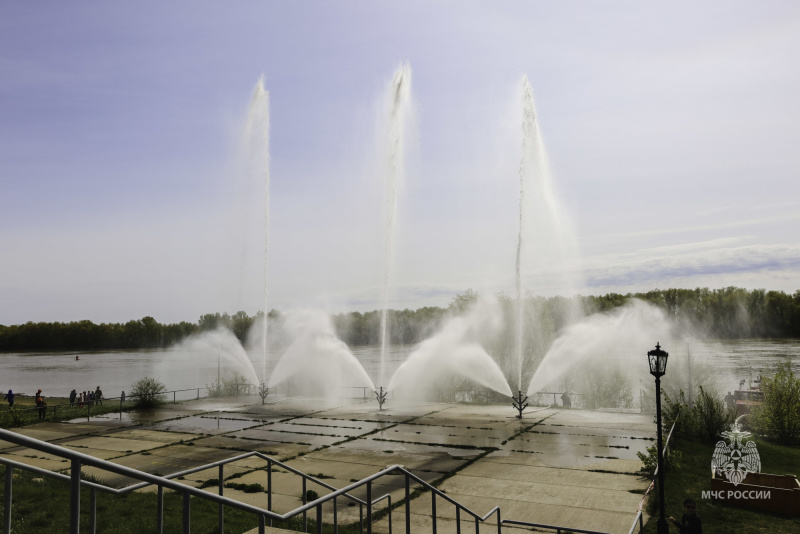 Отметили День пожарной охраны Омской области с размахом