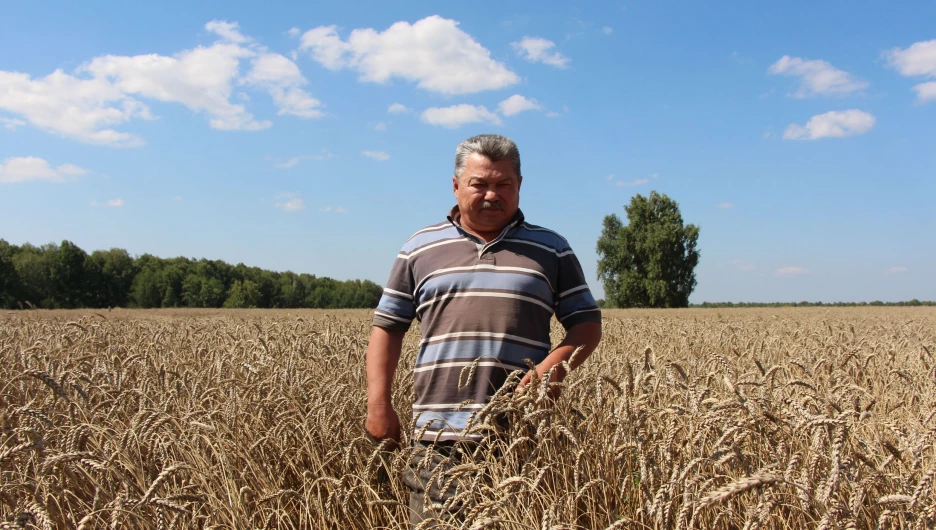 Анатолий Иванов, глава крестьянского хозяйства.