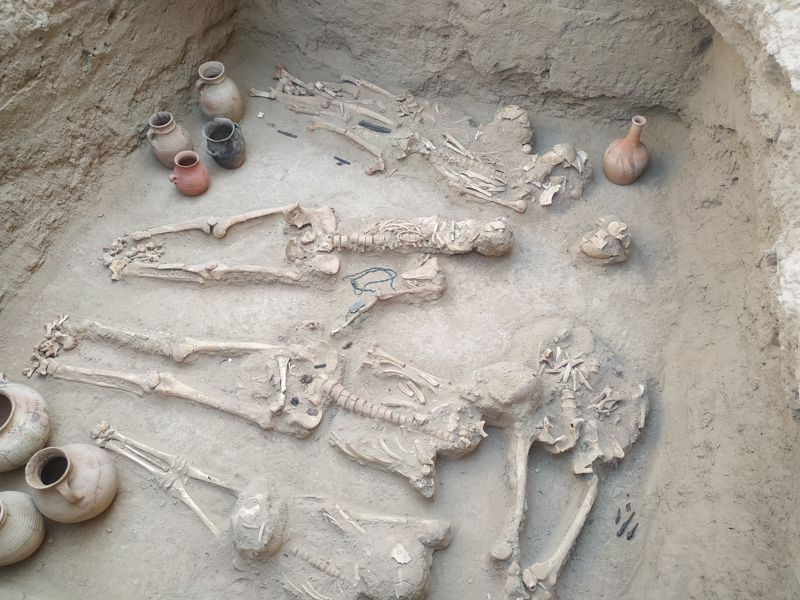 Археологические находки. Древние цивилизации находки раскопки. Находки маленьких скелетов. Древние Курганы.