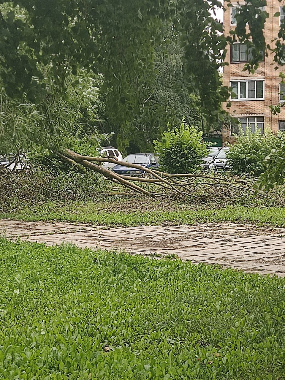 Ураган в Москве. Ураган в с Покровское. Города России без деревьев.