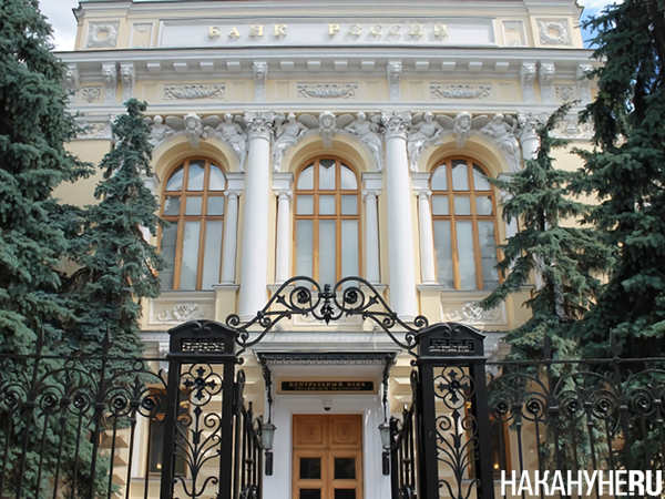 Фото: Накануне.RU