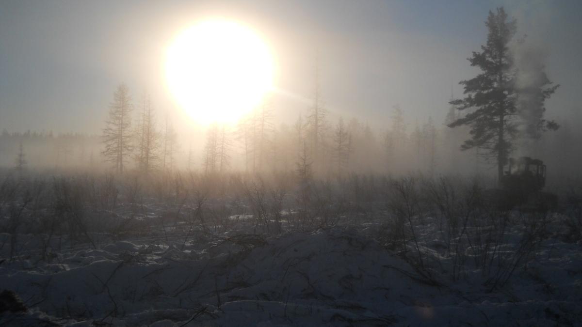 Россия,Эвенкия,мороз. - panoramio