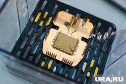 Завод обеспечит Россию аналоговыми микрочипами на 100% вместо прежних 10%