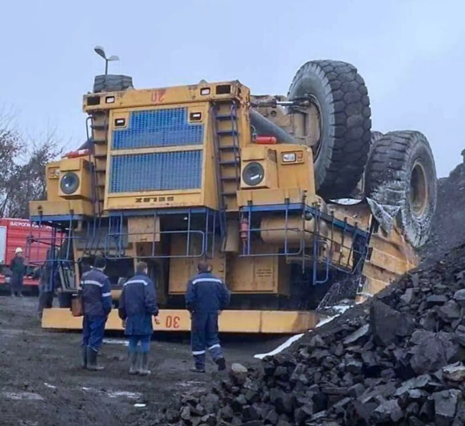 Жук упал и встать не может.