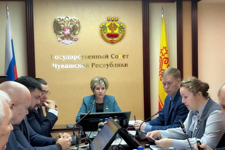 Ольга Петрова провела заседание Комитета по социальной политике, национальным вопросам