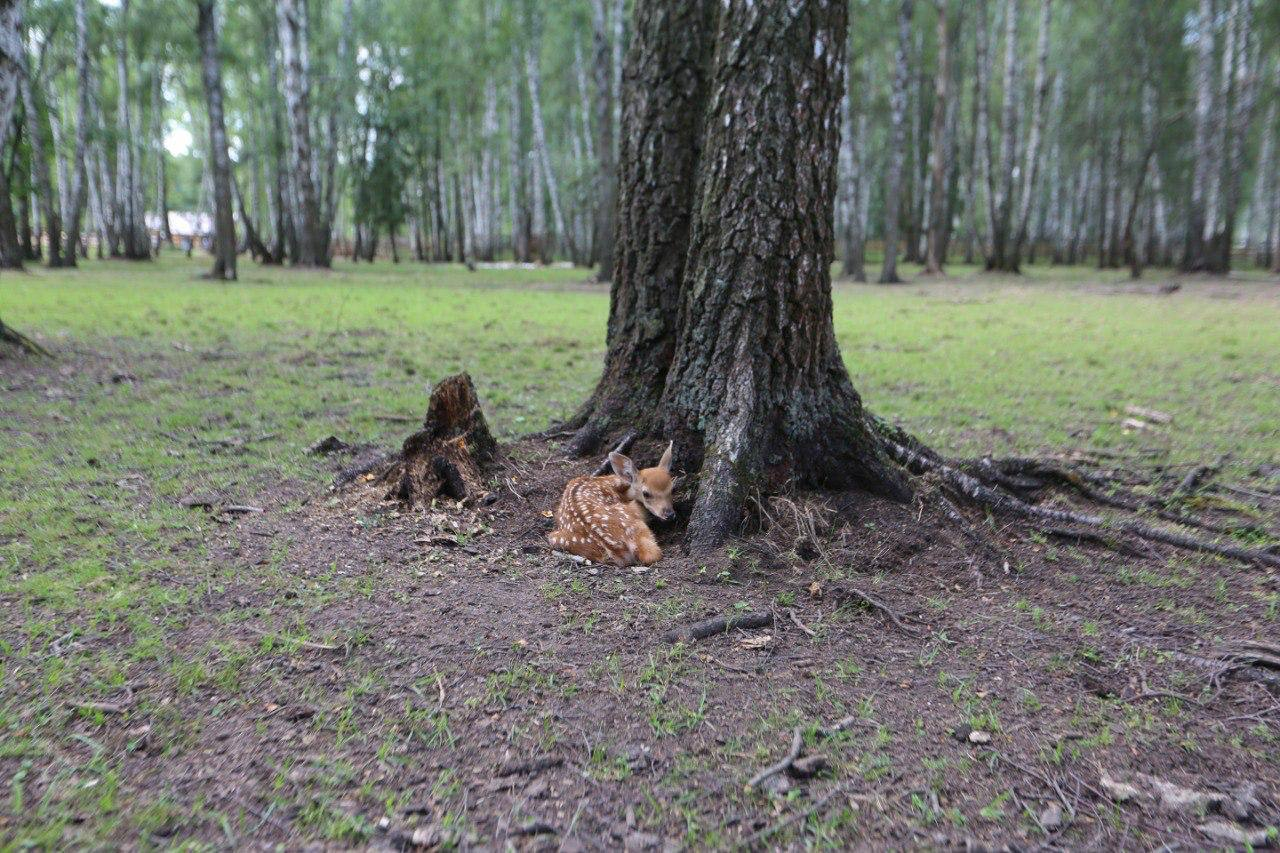 В лосинах 50