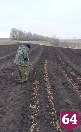 В Саратовской области в 5 раз увеличили заготовку желудей 