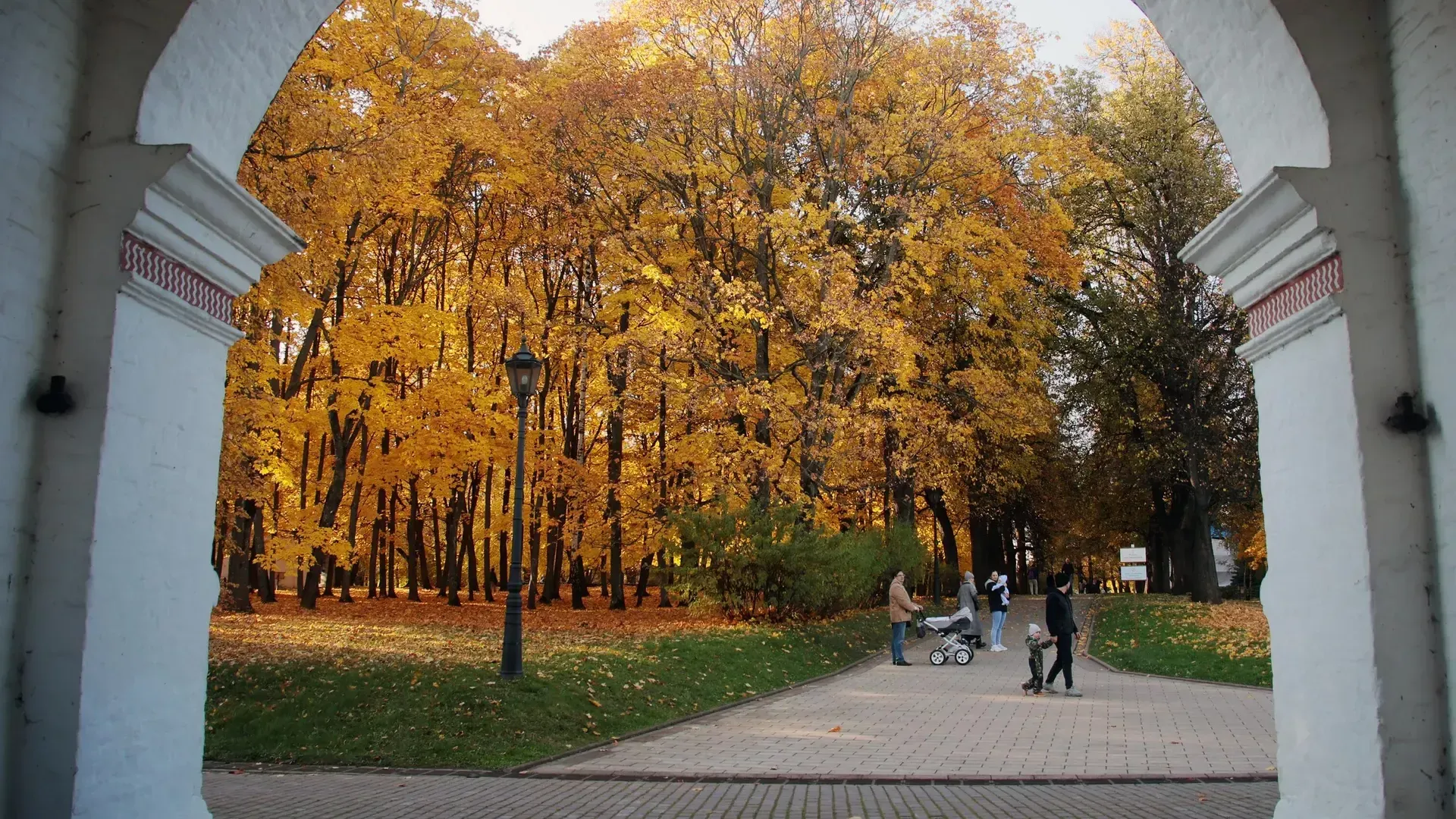 Осенняя новость. Осень в Москве. Золотая осень в Москве. Россия осенью. Октябрь в Москве.