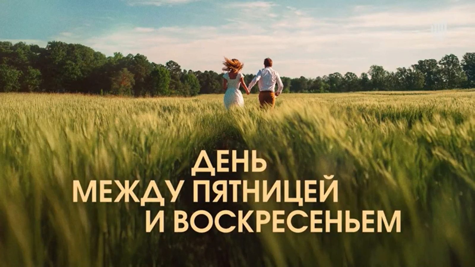 В этот раз все будет иначе: авторское и экспериментальное кино на питчинге Министерства культуры в 2025 году