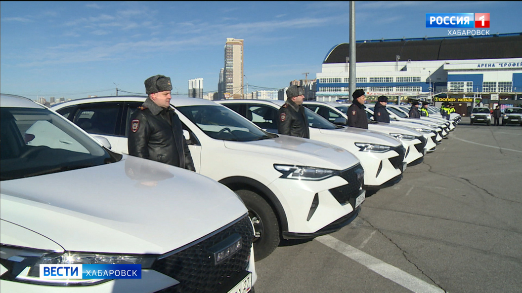 Сорок новых «напарников» получили полицейские Хабаровского края в подарок к своему празднику