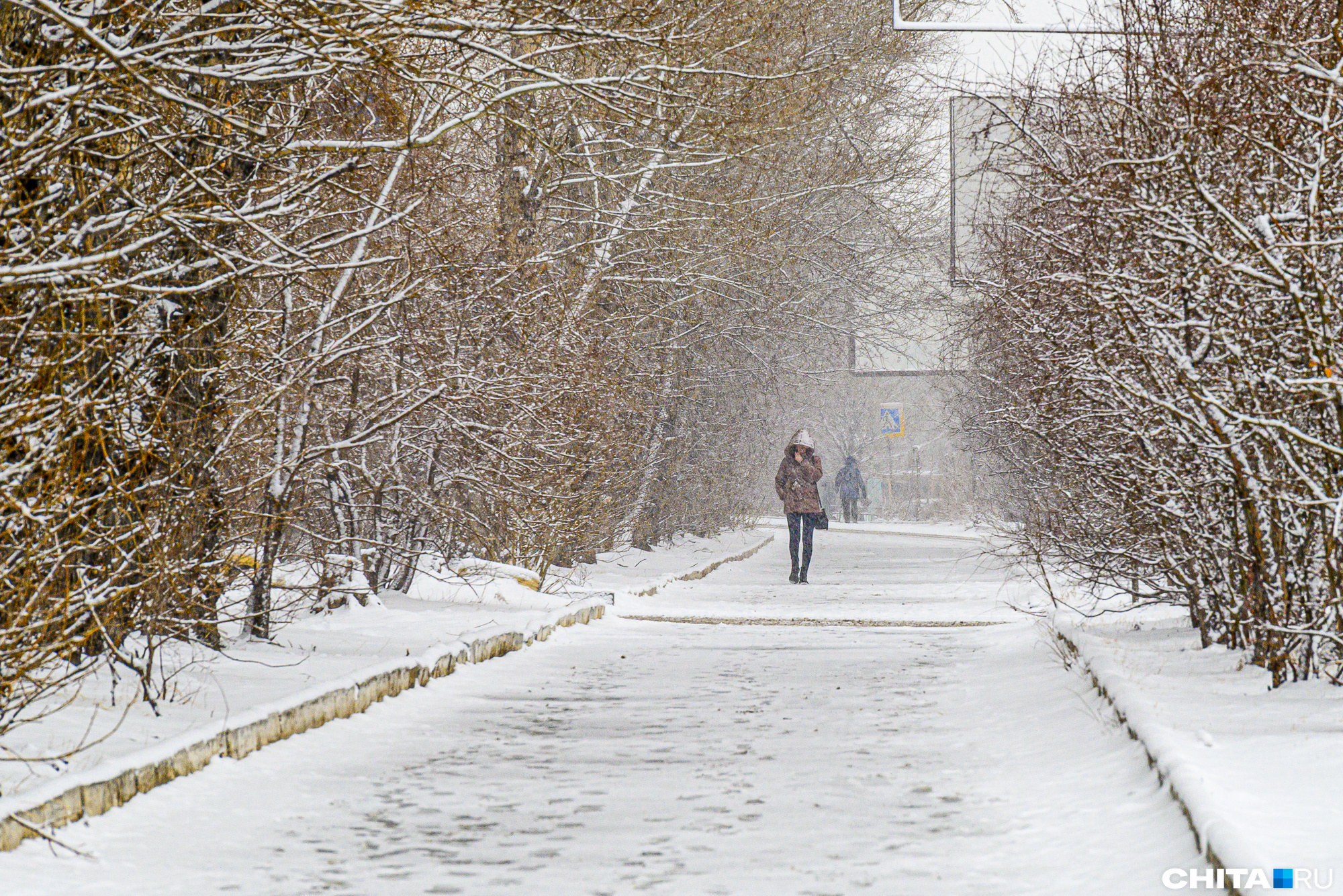 Налипание снега и гололедица. -в феврале выпал снег. Снег идет в городе. Уборочная техника. Суровая зима казахстан.