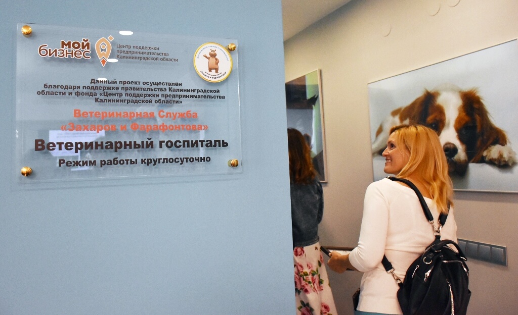 В Калининграде открылась уникальная частная ветклиника для лошадей и КРС