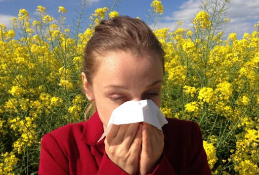 Иммунолог Русанова рассказала, как не спутать ОРВИ с аллергией в период цветения
