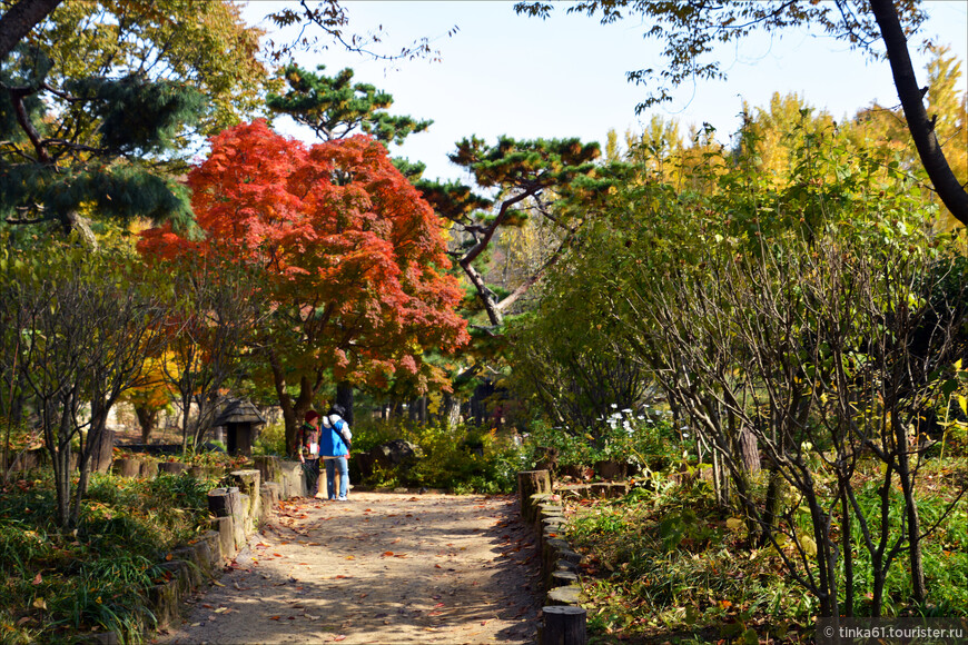 Танпхун - фольклор, этнография и лесной храм