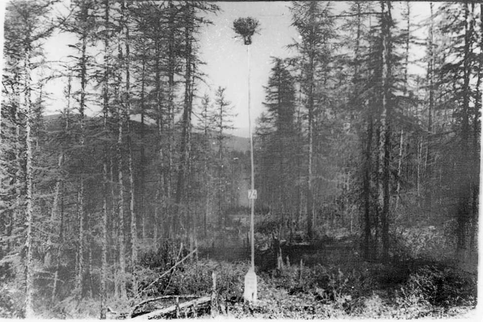 74-й км будущей Колымской трассы