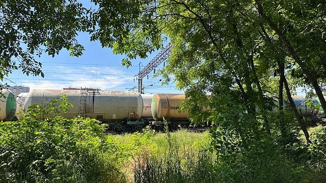 Фото: телеканал «Краснодар»