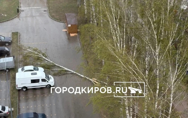 В Кирове из-за грозы падают деревья, окна и заборы. Фото