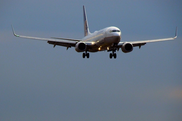 Летевший в Москву самолет вынужденно сел в Новосибирске