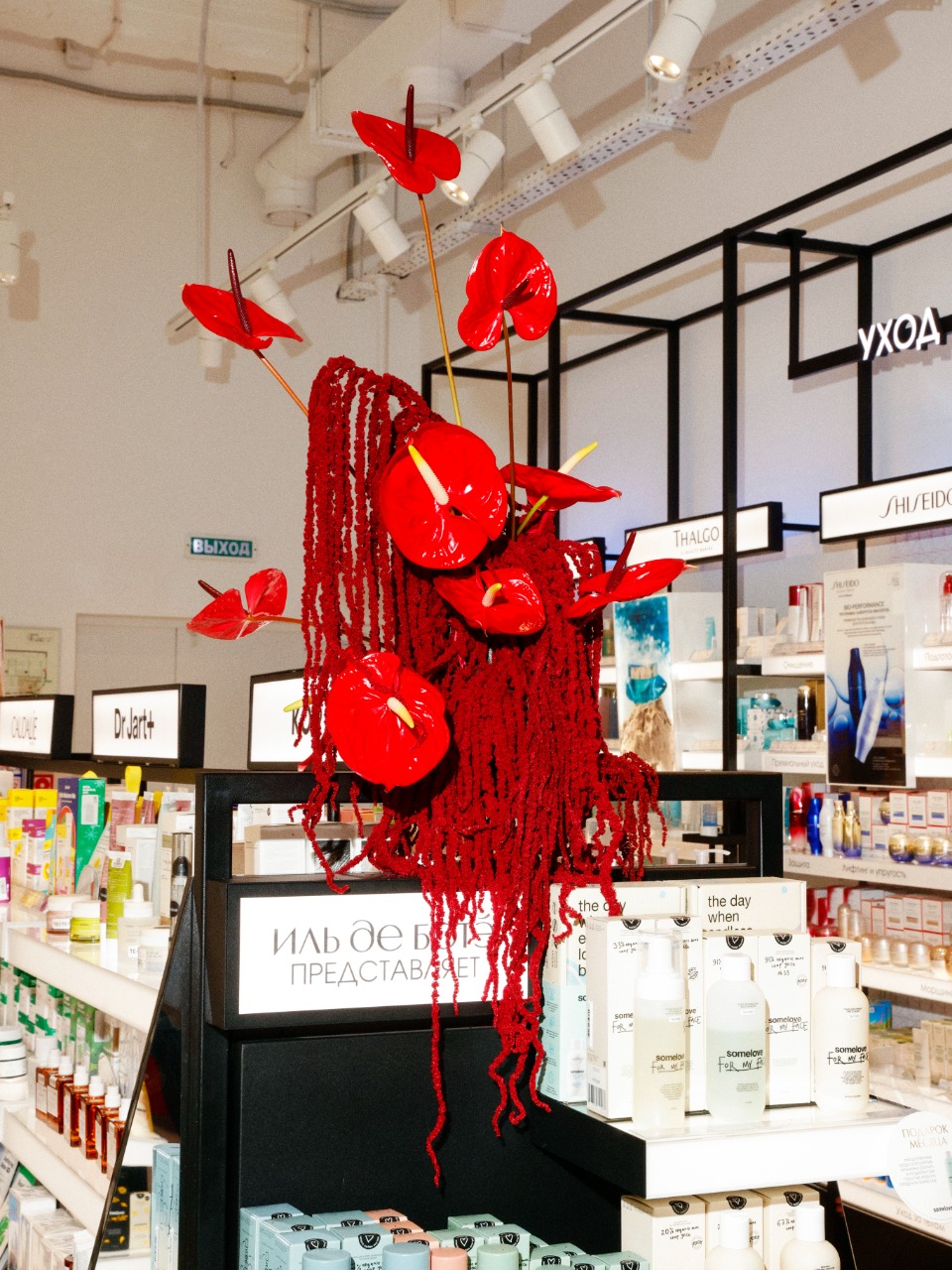 Сеть ИЛЬ ДЕ БОТЭ показала аудиоспектакль «Театр Красоты» (фото 2)