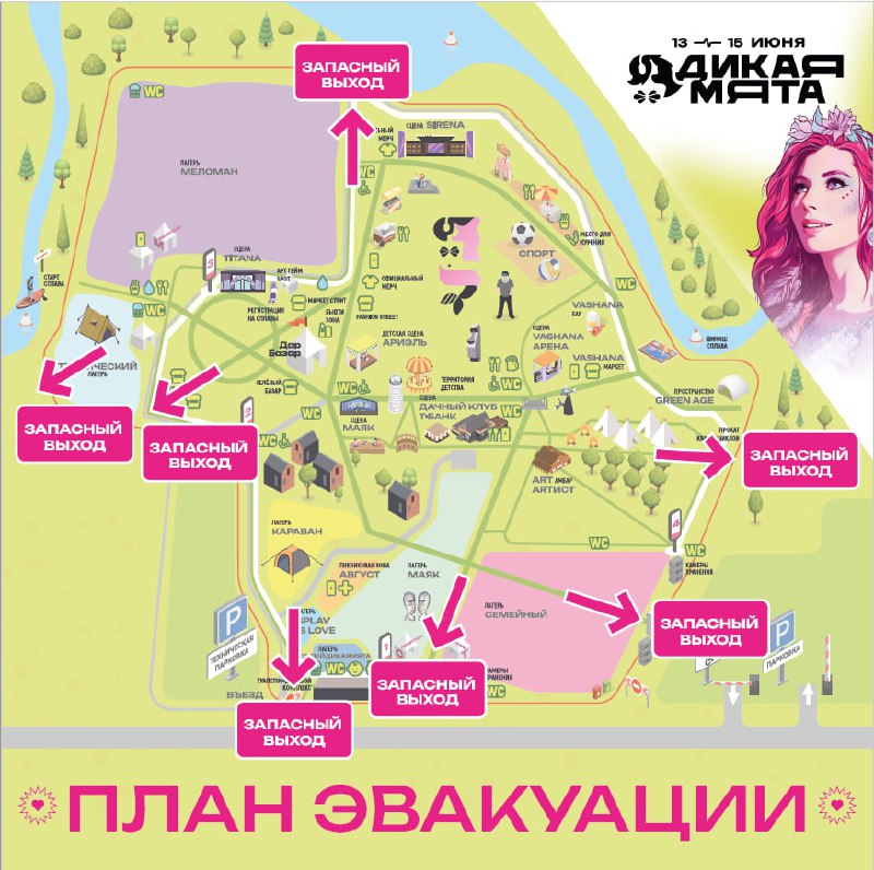 Фото: фестиваль Дикая мята