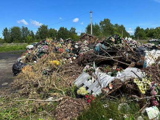 Городское кладбище в Пучеже превратилось в свинарник