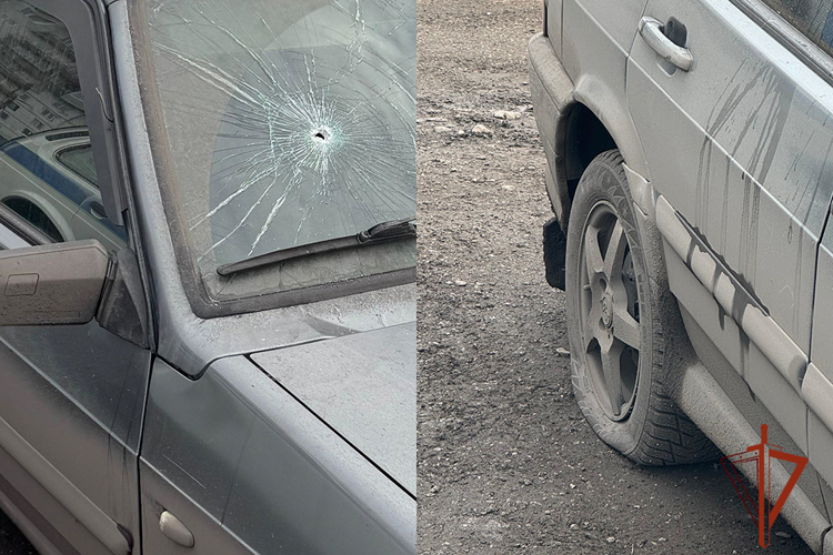 Росгвардейцы задержали предполагаемого виновника в повреждении чужого автомобиля