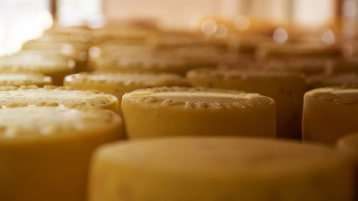 Элитный козий сыр, пряники на огуречном рассоле и натуральный мёд ждут гурманов на фермерской ярмарке