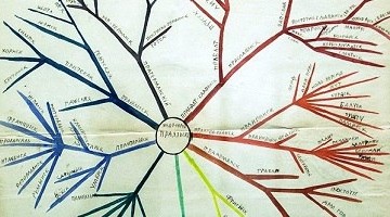 X Всероссийская научная конференция «Сад расходящихся троп»